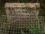 image of grave number 184724